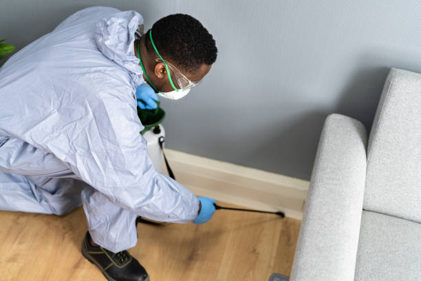 Best Residential Pest Control  in Glens Falls North, NY